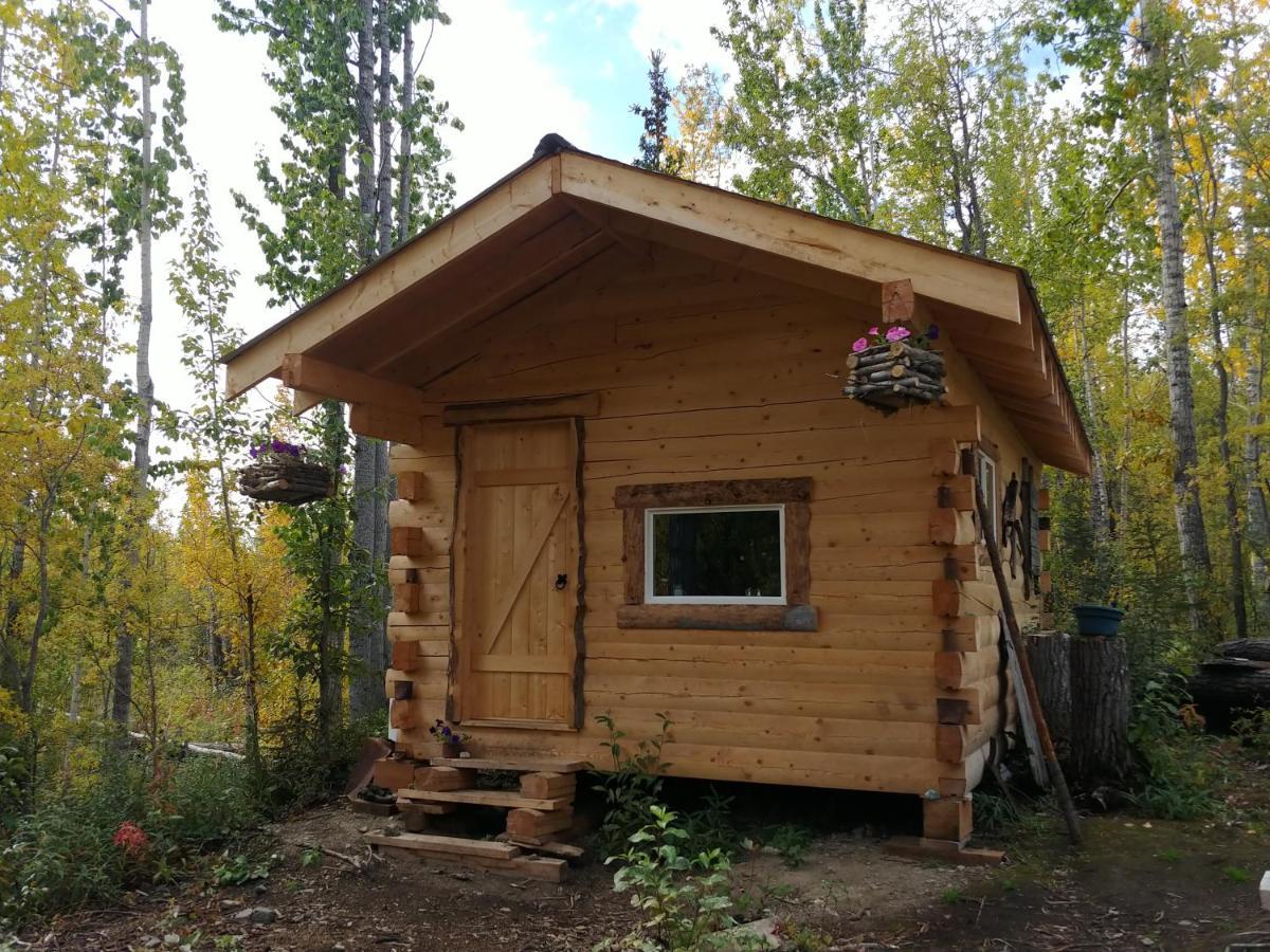 Blackburn Cabins - Mccarthy, Alaska Экстерьер фото