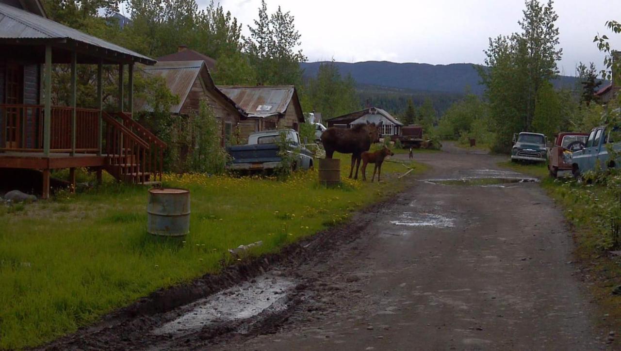 Blackburn Cabins - Mccarthy, Alaska Экстерьер фото