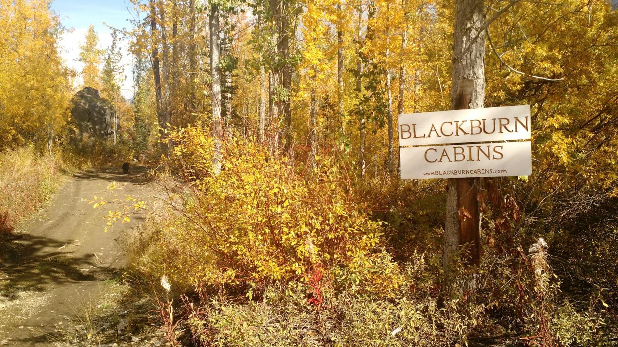 Blackburn Cabins - Mccarthy, Alaska Экстерьер фото