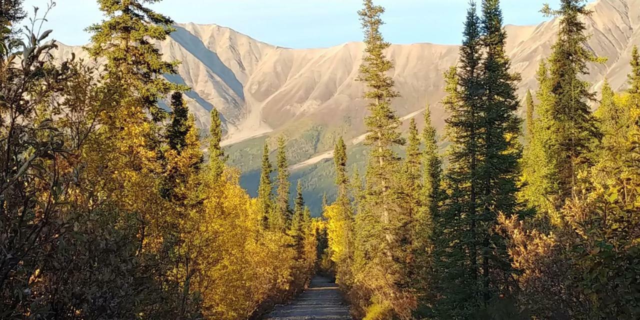 Blackburn Cabins - Mccarthy, Alaska Экстерьер фото